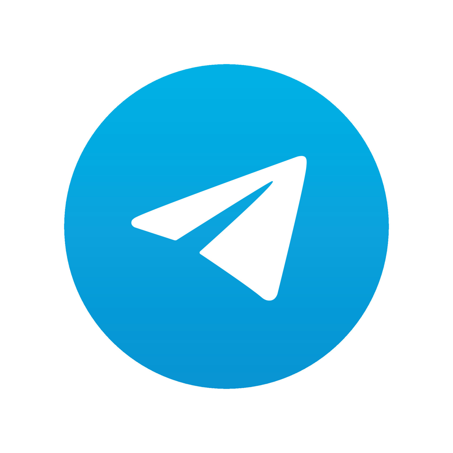 Telegram Logo